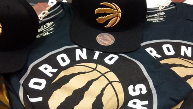 多伦多猛龙队（Toronto Raptors）品牌VI发布----深圳品牌设计