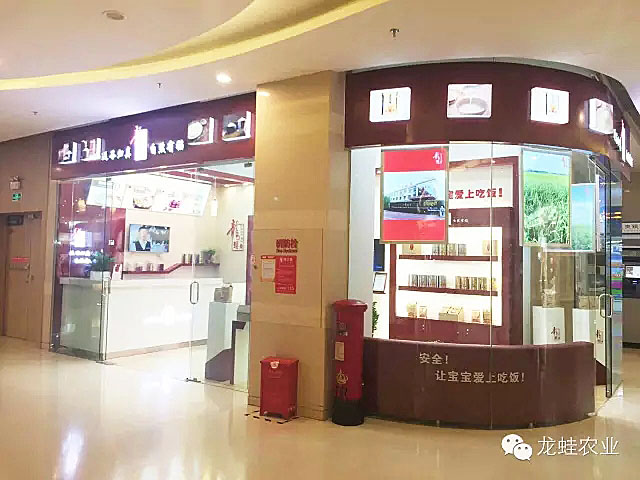 龙蛙品牌体验店成功落地深圳