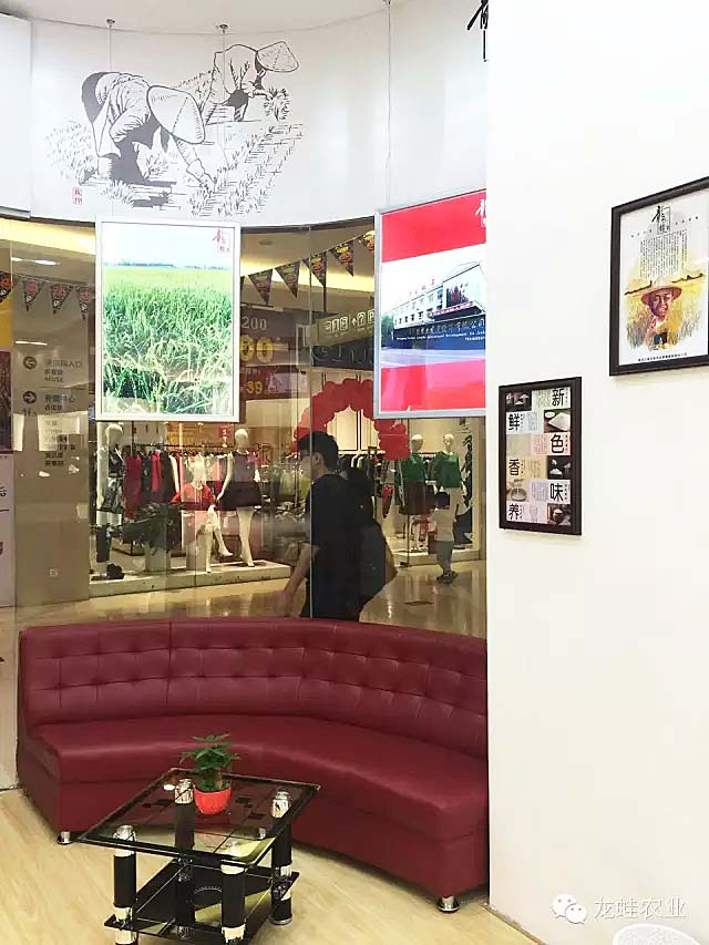 龙蛙品牌体验店成功落地深圳